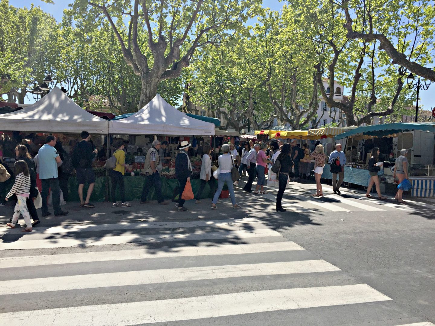 Visit to St.Tropez market 