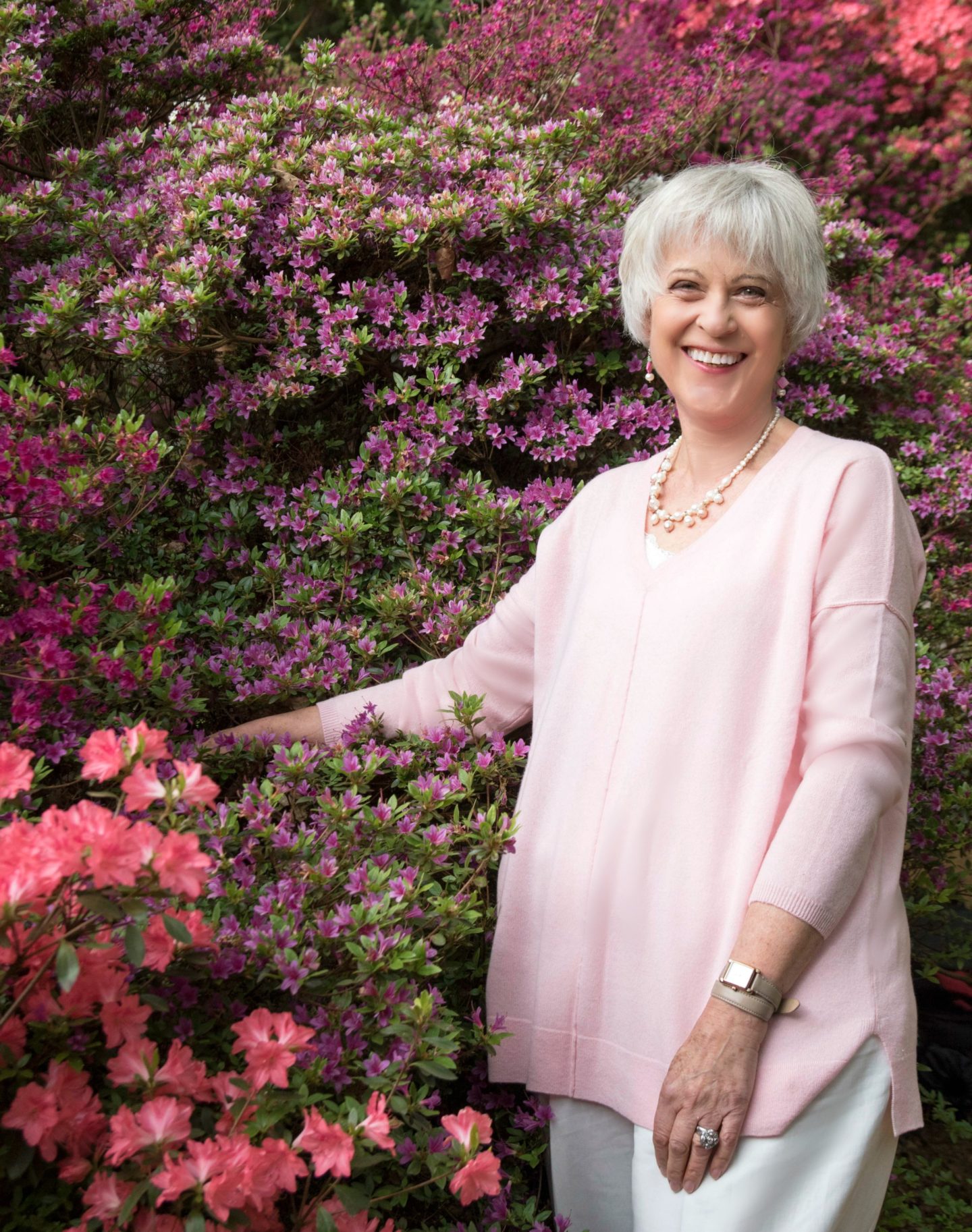 Pink sweater among the azaleas Pink sweater among the azaleas