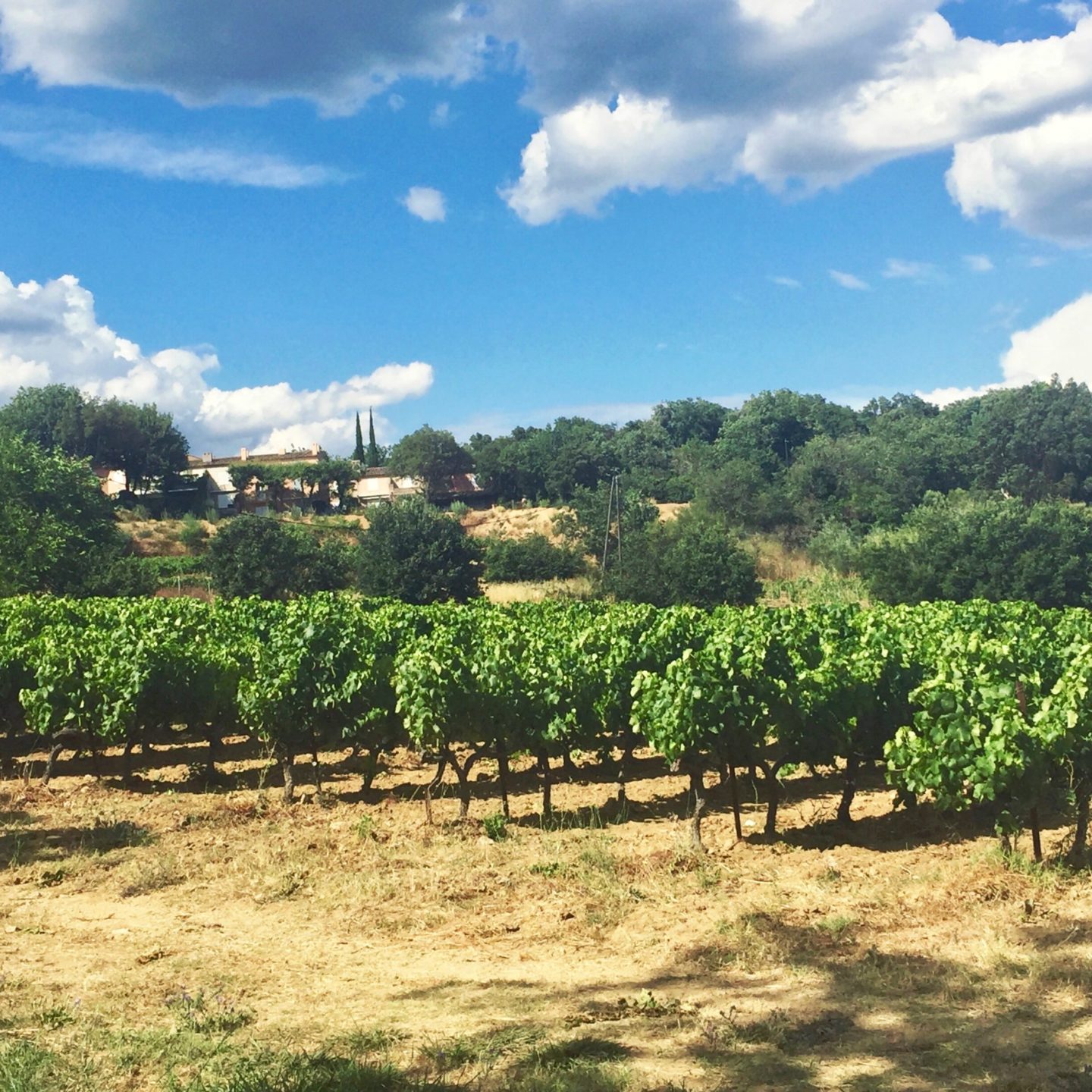 Provencal life - St.Tropez news
