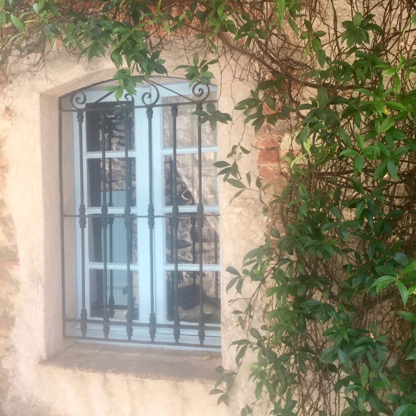 Provencal life - St. Tropez news