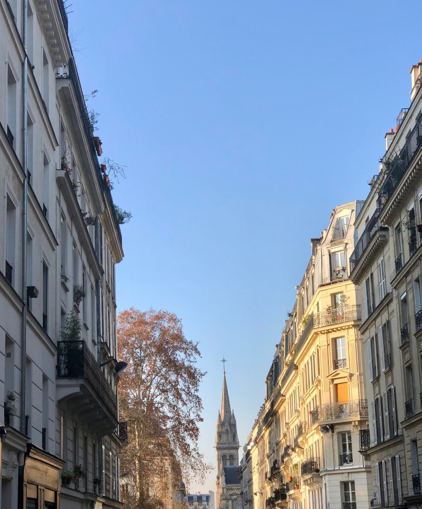 Streets of Paris