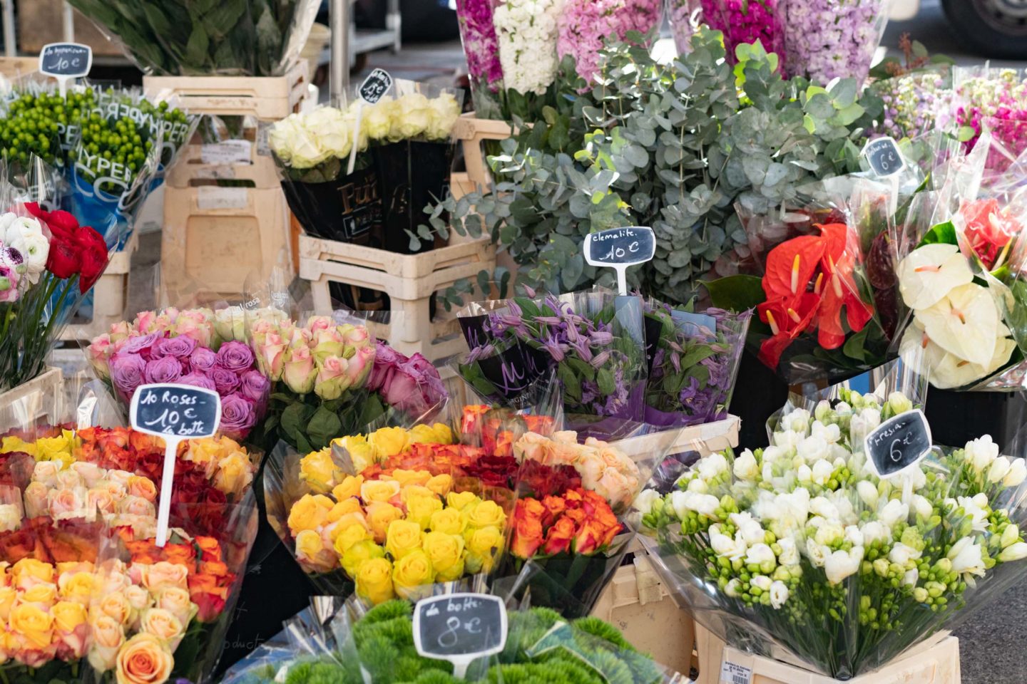 Provencal flowers