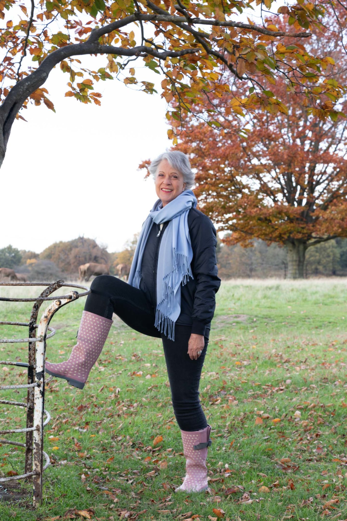 Wide calf wellingtons. Blue/grey wool scarf