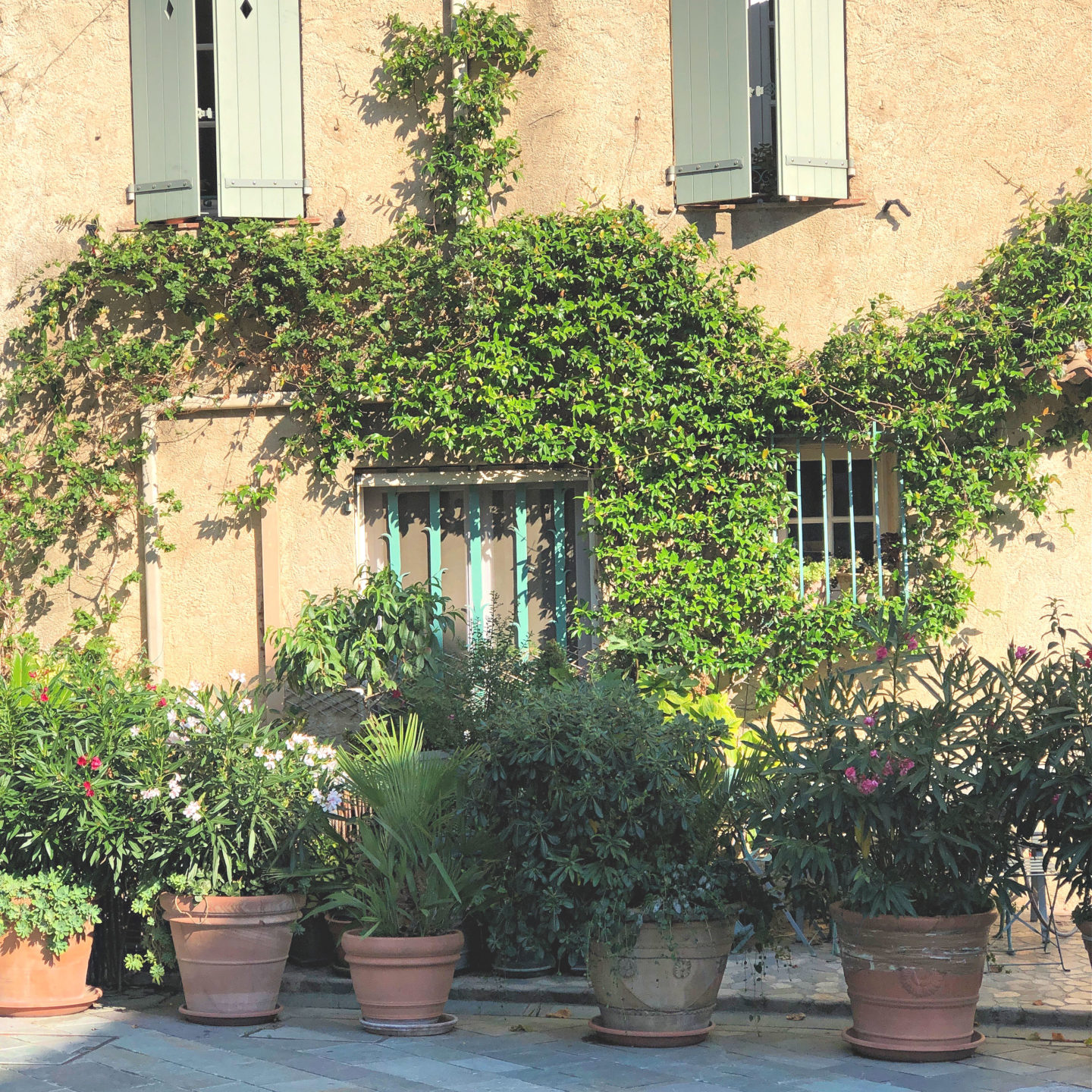 Grimaud village