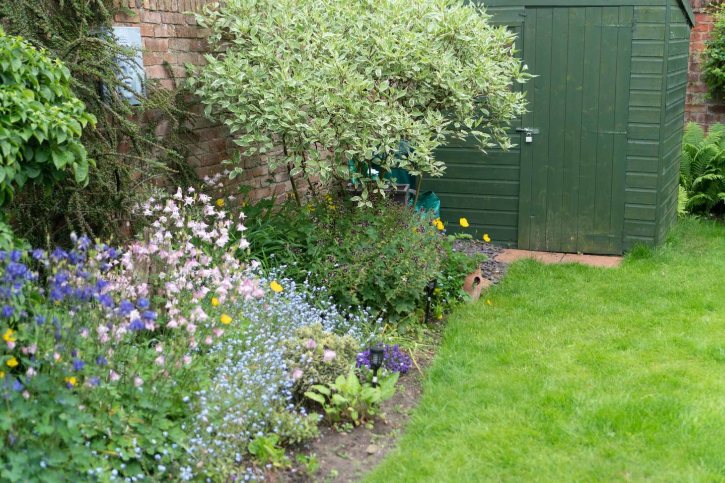 English summer garden