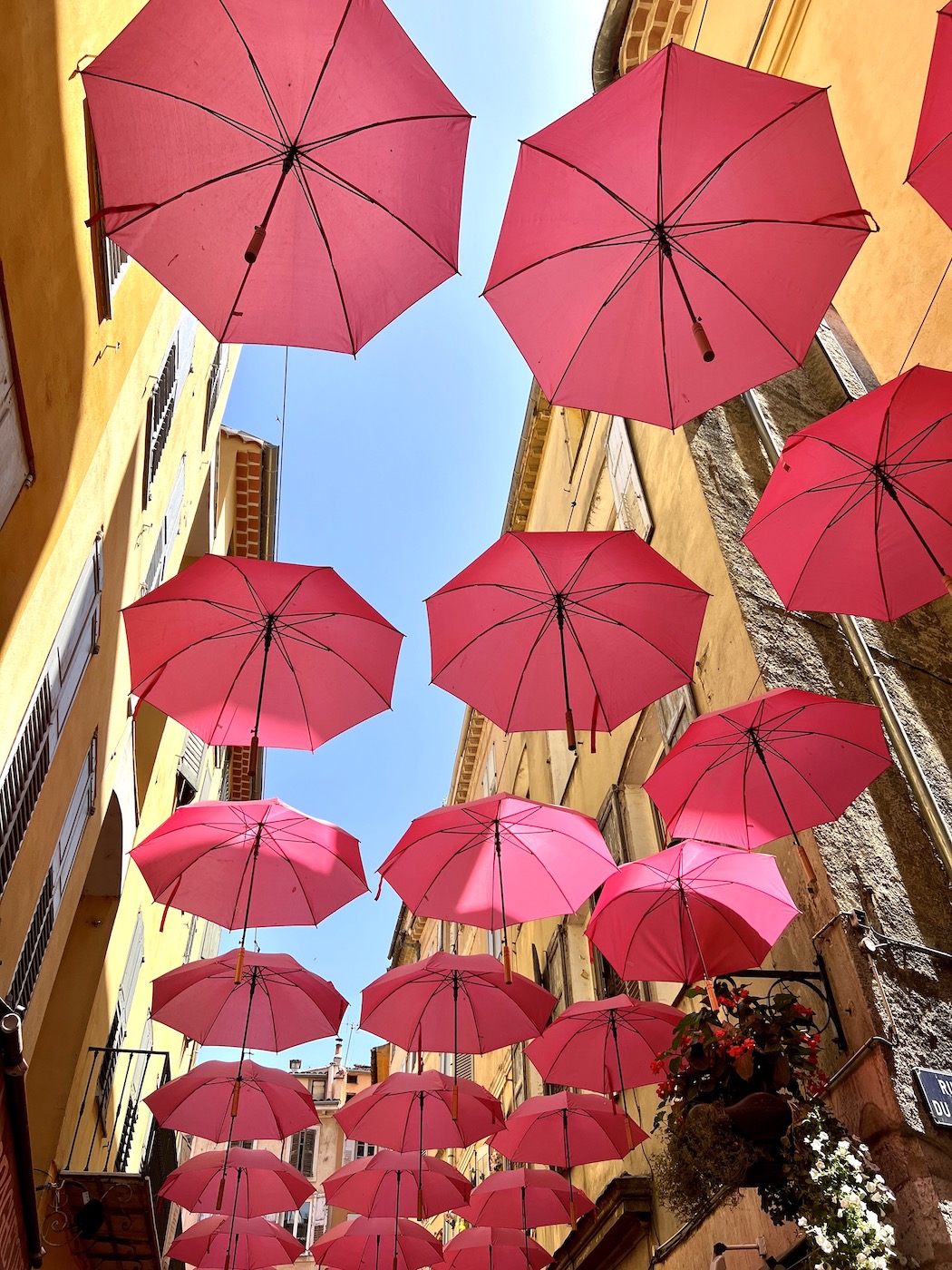 Parasolls in Grasse